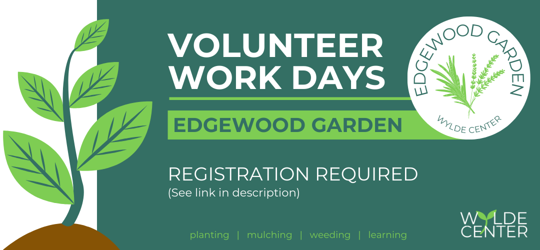 Volunteer Work Days Edgewood Garden Registration Required (See link in description)