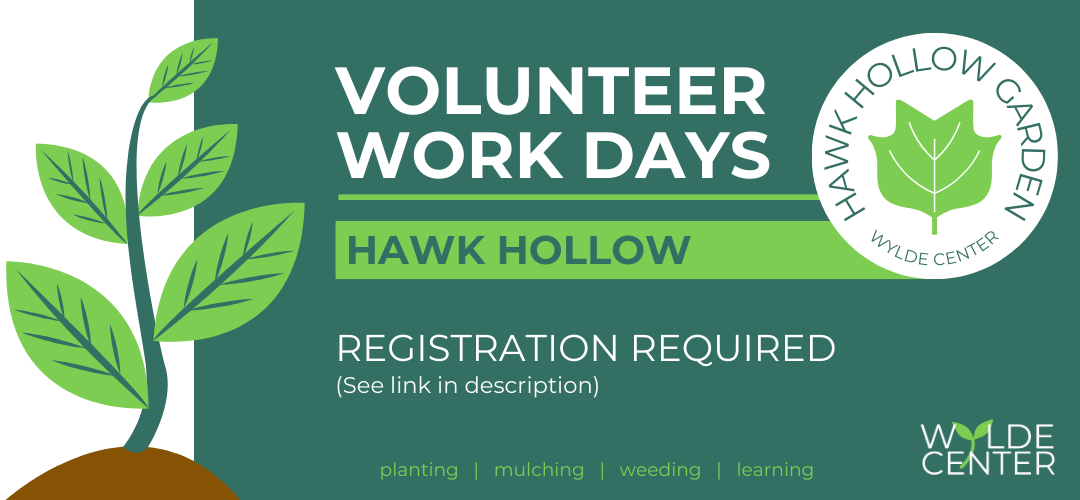 Volunteer Work Days Hawk Hollow Registration Required (See link in description)